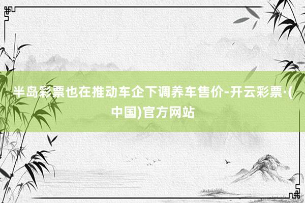 半岛彩票也在推动车企下调养车售价-开云彩票·(中国)官方网站