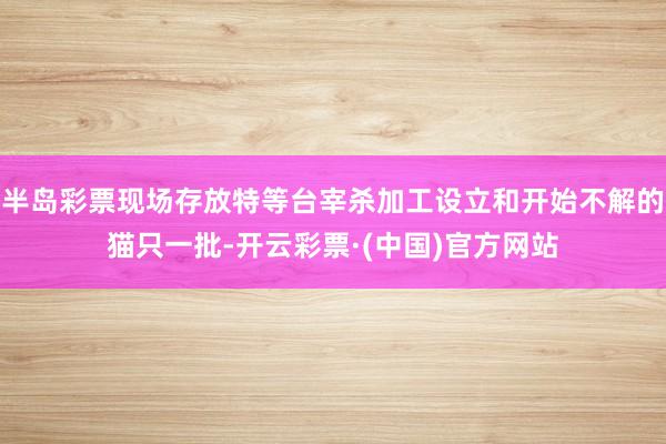 半岛彩票现场存放特等台宰杀加工设立和开始不解的猫只一批-开云彩票·(中国)官方网站