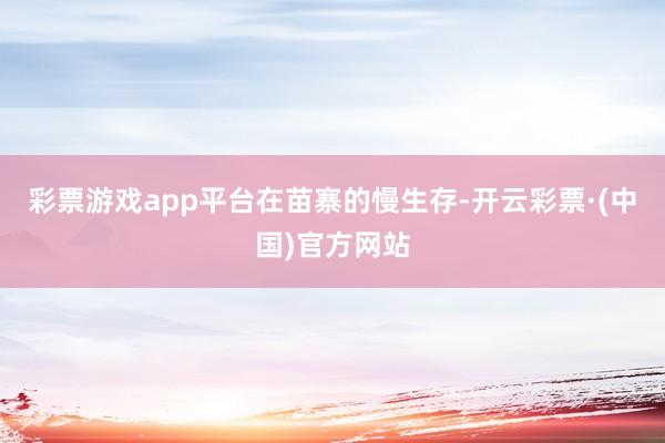 彩票游戏app平台在苗寨的慢生存-开云彩票·(中国)官方网站