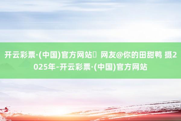 开云彩票·(中国)官方网站‍网友@你的田甜鸭 摄2025年-开云彩票·(中国)官方网站